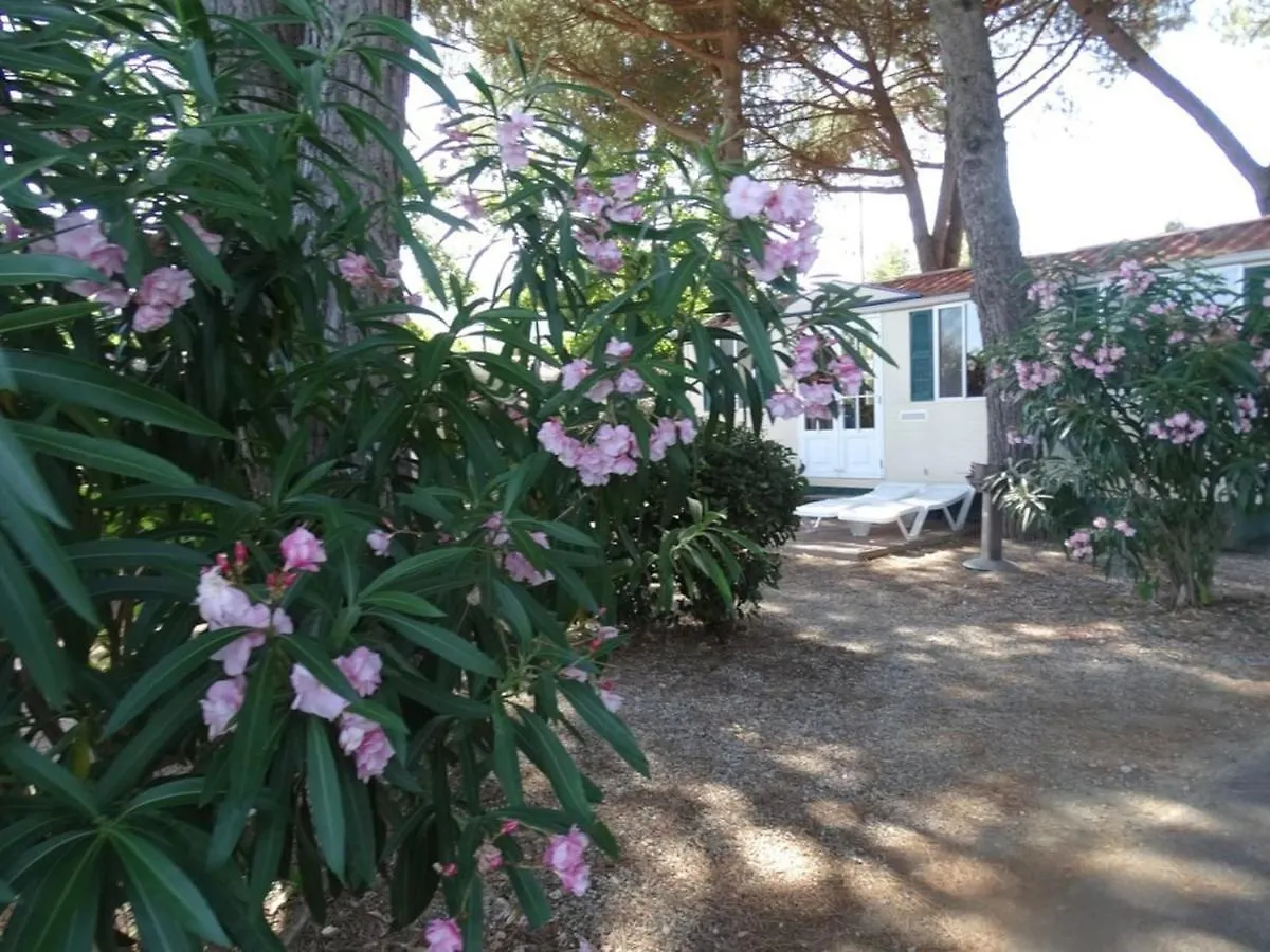 Comfort Mobilehome Camping Ameglia 5Pers 328